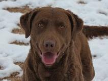 IMG_1158_1024x683_-212x163