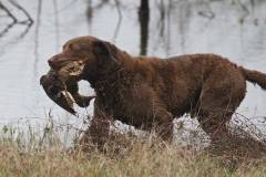 1_50031885_1798726360237296_9198094758453444608_n