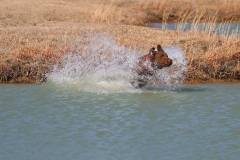 1_50068670_1238274669659126_2017092173220020224_n-1