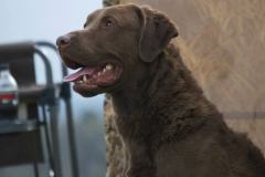 1_59406675_2241212722797787_4333308318727536640_n