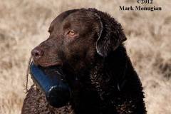 1_59455017_425948244874012_1978485386506141696_n