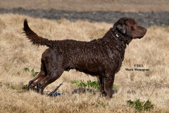 1_67184237_2768161716549800_919192627058835456_n