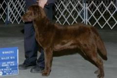 1_Bentley_10_months_pic_1-298x214