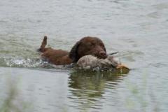 67139014_581906739006315_8469185099756208128_n