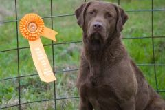 67403176_1734843086660758_5524456393773416448_n