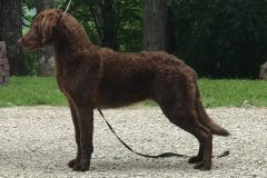 67529258_562526164278926_3881645572150525952_n