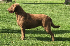 67549282_711814742587750_4534416030604197888_n-1