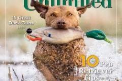 Kimber_on_DU_cover-251x295