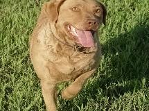 Shelby_pic_1_june_08-215x223